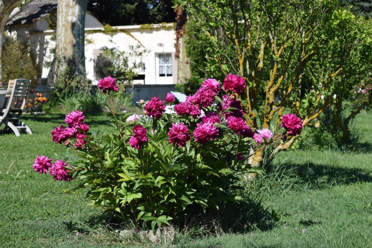 La Bastide Des Amouriers Caumont-sur-Durance Exterior photo